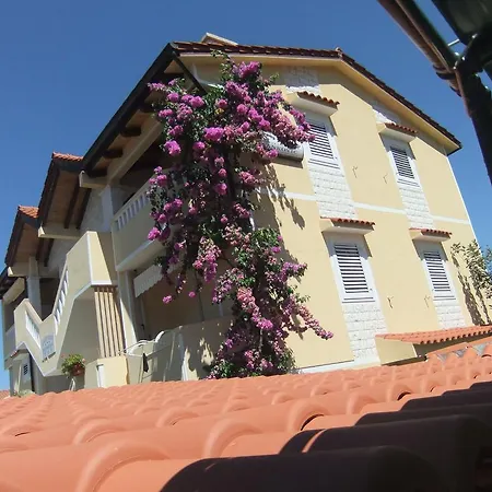Apartment Ivankovic *