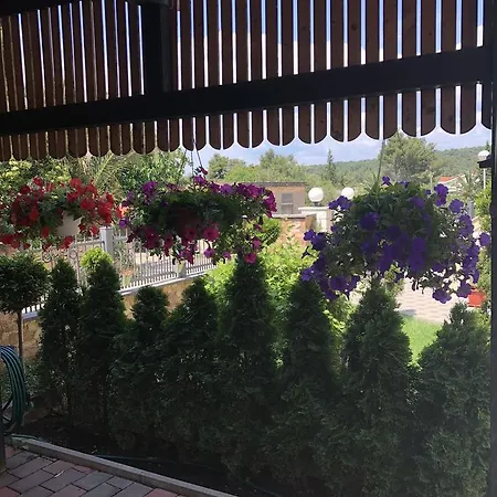Apartment Ivankovic *